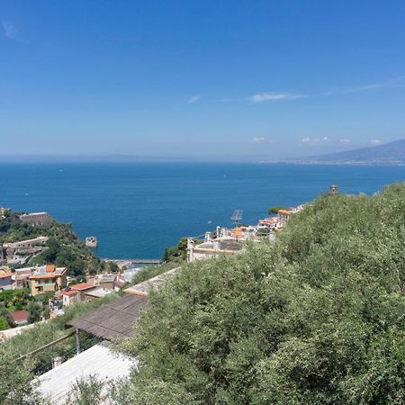 Appartamento In Villa Ariel ヴィーコ・エクエンセ エクステリア 写真